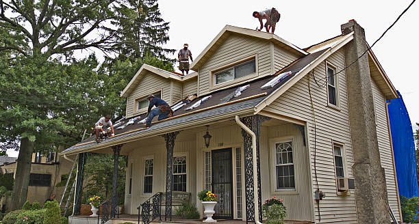 Best Storm Damage Roof Repair  in Mvell, AR